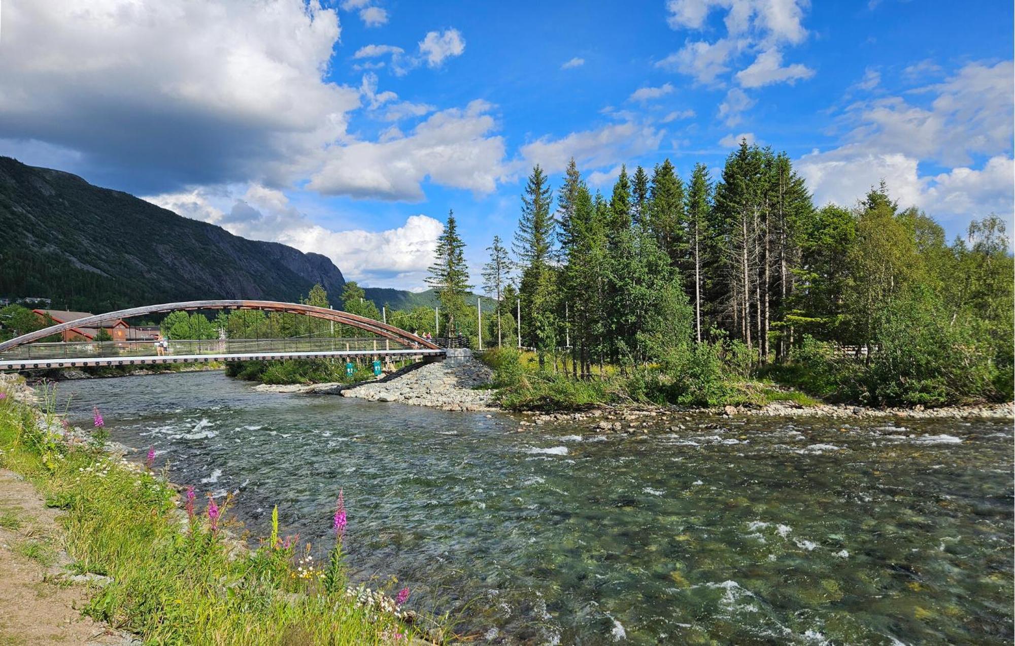 Awesome Apartment In Hemsedal With Wifi Εξωτερικό φωτογραφία